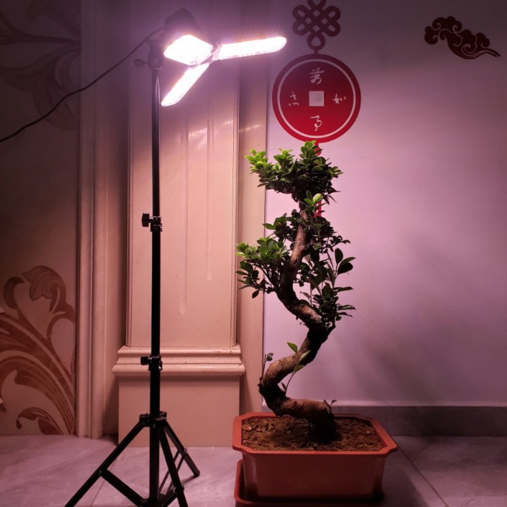 حامل لمبة الضوء 2 متر، مقبس تي - مراجعة Photography Umbrella وسعره